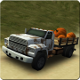 Dirt Road camionneur 3D