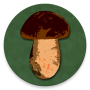 Verzeichnis der Pilzsammler 2013