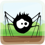 Forest Spider