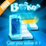 Briker 2