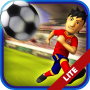 Striker Soccer Euro 2012 Pro