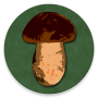 Directory of champignon picker 2013