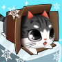 Kitty dans la boîte